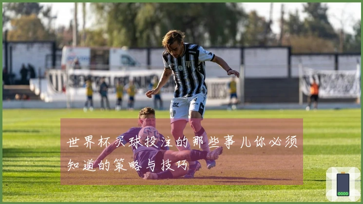 世界杯买球投注的那些事儿你必须知道的策略与技巧