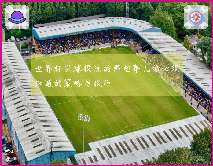 世界杯买球投注的那些事儿你必须知道的策略与技巧