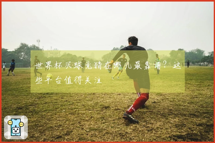 世界杯买球竞猜在哪儿最靠谱？这些平台值得关注