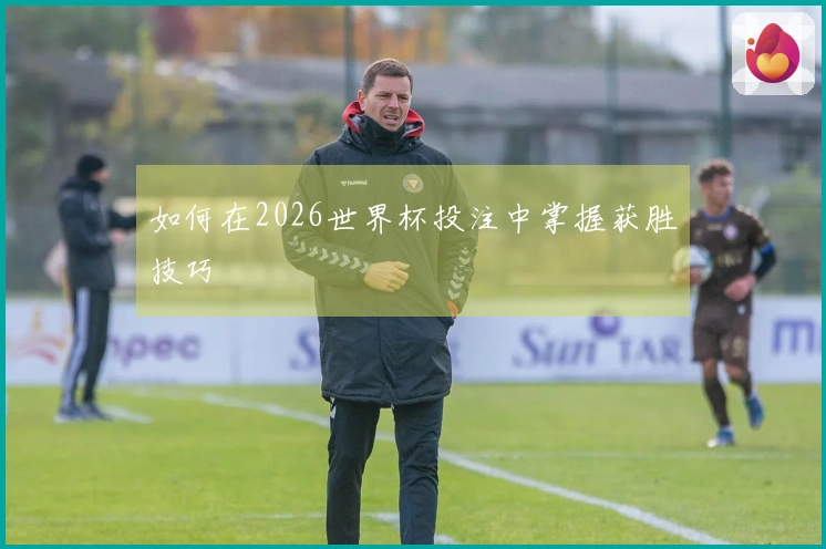 如何在2026世界杯投注中掌握获胜技巧