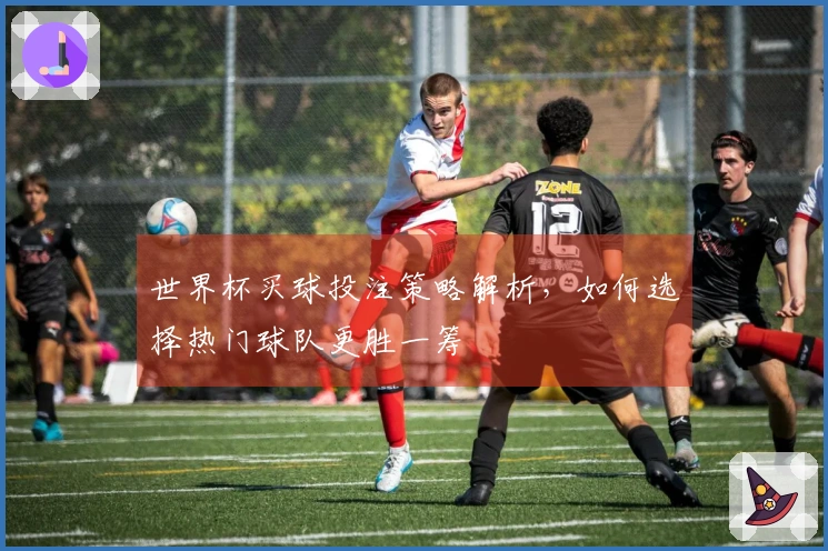世界杯买球投注策略解析，如何选择热门球队更胜一筹