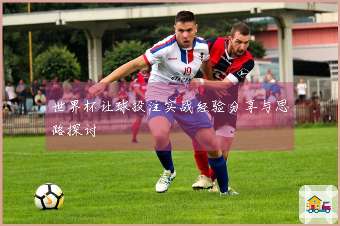世界杯让球投注实战经验分享与思路探讨