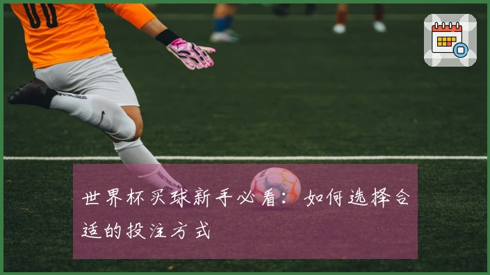 世界杯买球新手必看：如何选择合适的投注方式