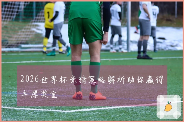 2026世界杯竞猜策略解析助你赢得丰厚奖金