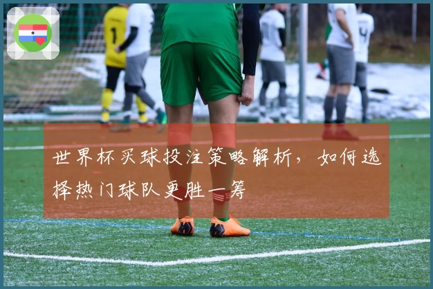 世界杯买球投注策略解析，如何选择热门球队更胜一筹