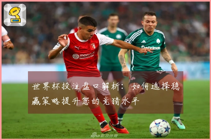 世界杯投注盘口解析：如何选择稳赢策略提升您的竞猜水平