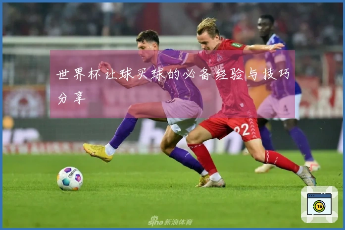 世界杯让球买球的必备经验与技巧分享