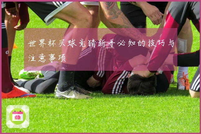 世界杯买球竞猜新手必知的技巧与注意事项