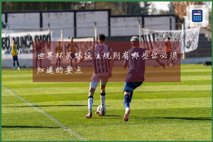 世界杯买球投注规则有哪些你必须知道的要点