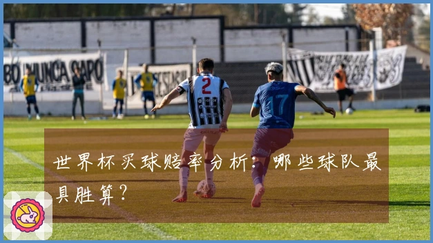世界杯买球赔率分析：哪些球队最具胜算？