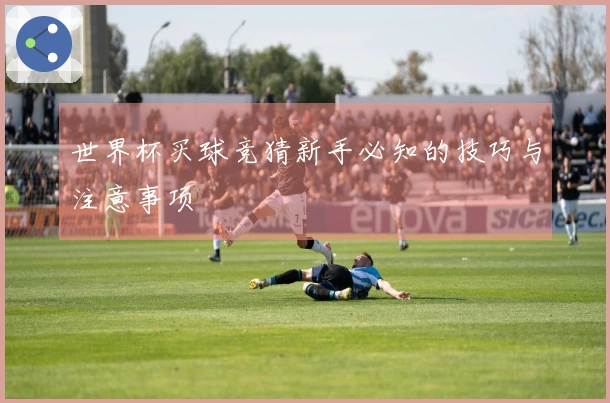 世界杯买球竞猜新手必知的技巧与注意事项